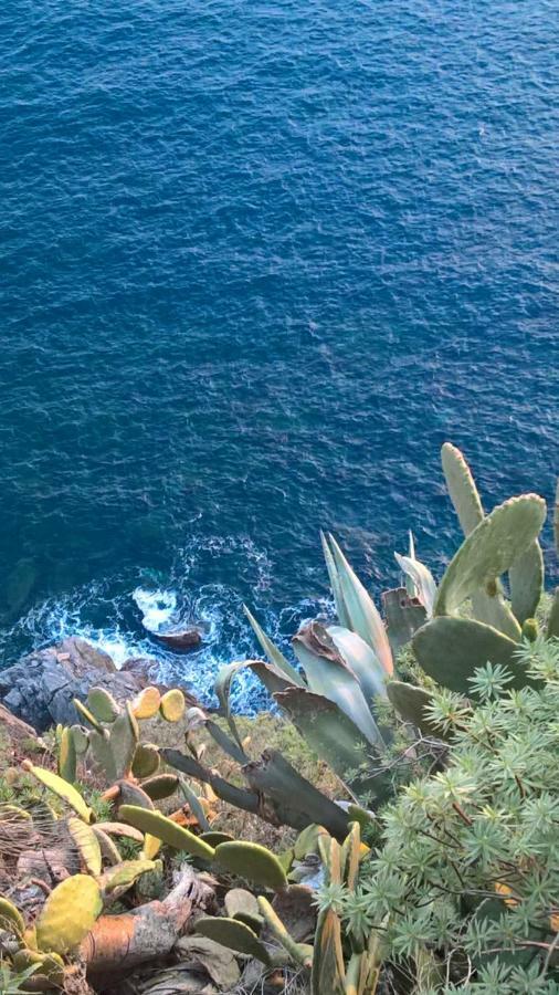 The Pearl Of 5 Terre - Monterosso Apartman Monterosso al Mare Kültér fotó
